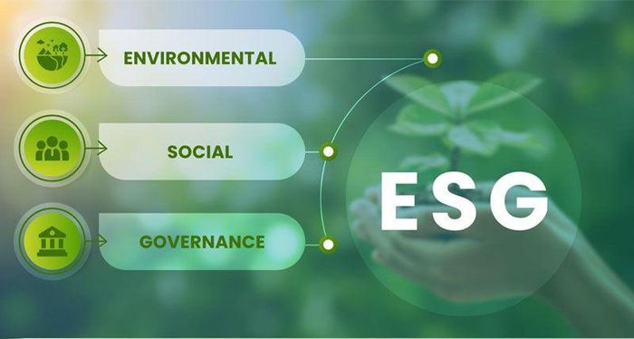 khi rủi ro danh tiếng ESG gia tăng, doanh nghiệp có xu hướng tăng chi trả cổ tức như một công cụ ổn định niềm tin thị trường.