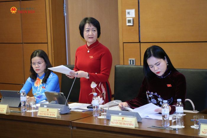 ĐBQH Thái Thị Thu Hường (Hưng Yên) phát biểu. Ảnh: Đắc Trường