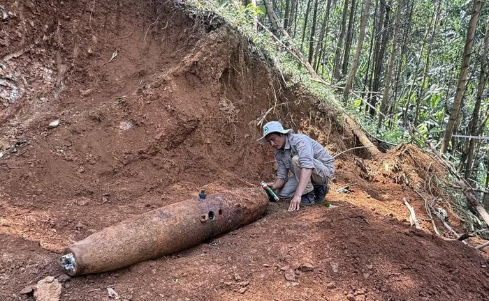 Các đơn vị xử lý quả bom MK82 trong khu rừng tràm của gia đình anh Hồ Văn Tường, xã A Lưới 1.