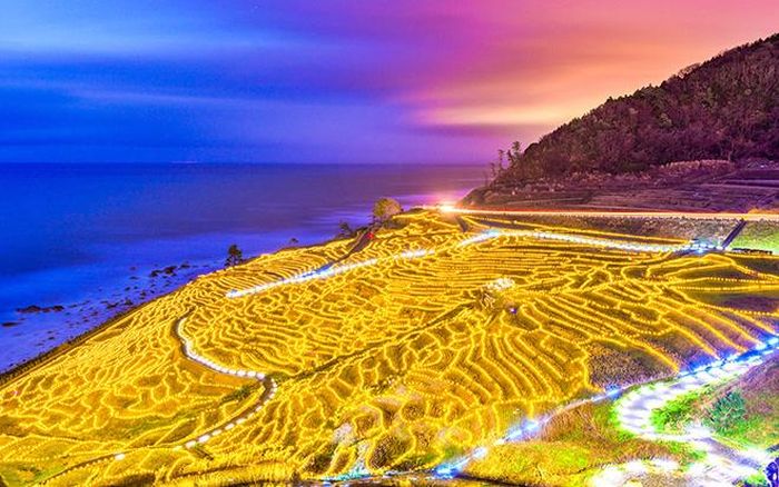 Cảnh quan ruộng bậc thang Shiroyone Senmaida ven biển (ở Wajima, tỉnh Ishikawa) được thắp sáng bằng 25.000 đèn LED, rực rỡ sắc màu vào ban đêm, hòa cùng tiếng sóng vỗ nhẹ nhàng của biển Nhật Bản. Ảnh: Sean Pavone/Dreamstime