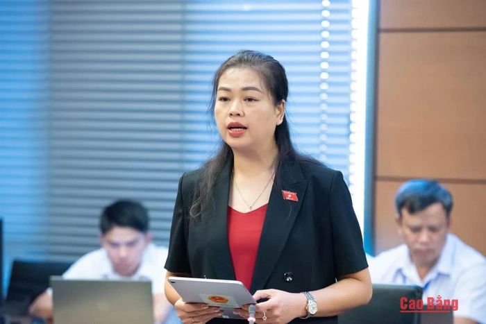 Đại biểu Đoàn Thị Lê An, Phó Chủ tịch Ủy ban MTTQ tỉnh, Chủ tịch Hội Liên hiệp Phụ nữ tỉnh phát biểu thảo luận tại tổ.