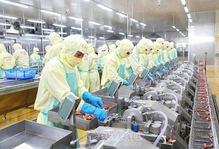 Sản phẩm Tôm Cà Mau - một trong những sản phẩm thuỷ sản chủ lực được địa phương chú trọng quảng bá, mở rộng thị trường.
