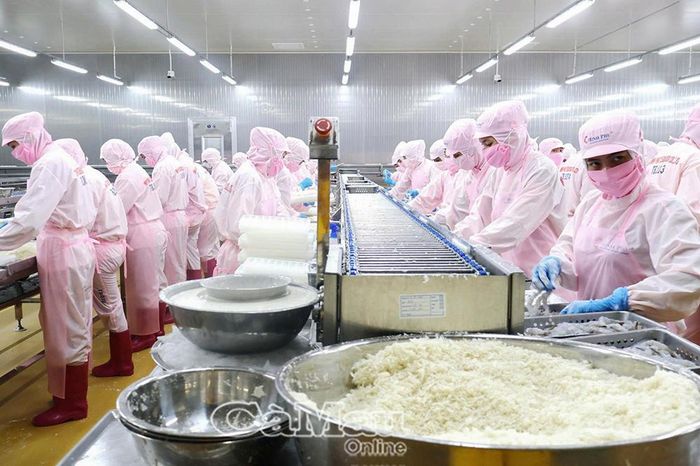 Hoạt động xúc tiến thương mại, kết nối giao thương mở thêm cơ hội để doanh nghiệp Cà Mau tiếp cận đối tác và thị trường quốc tế.