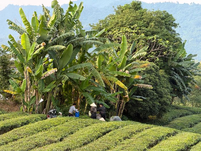 Người dân thêm hiểu biết pháp luật sẽ giảm nguy cơ tranh chấp, mâu thuẫn. Ảnh: ĐỨC ANH