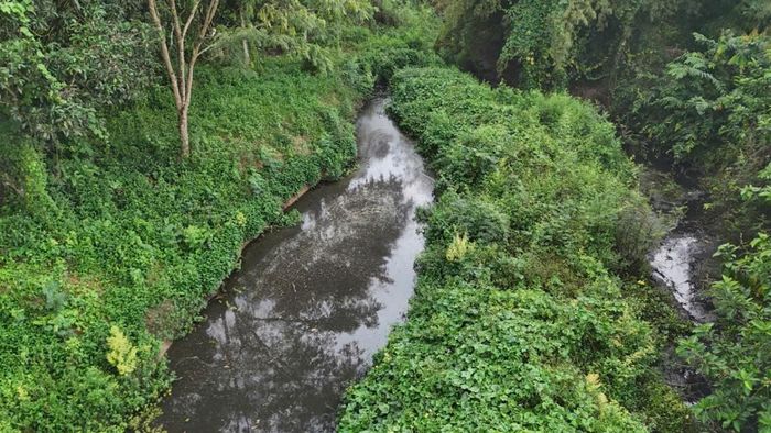  Các cơ sở chăn nuôi phải xử lý chất thải đạt quy chuẩn, bảo đảm vệ sinh môi trường. (Ảnh minh hoạ) 