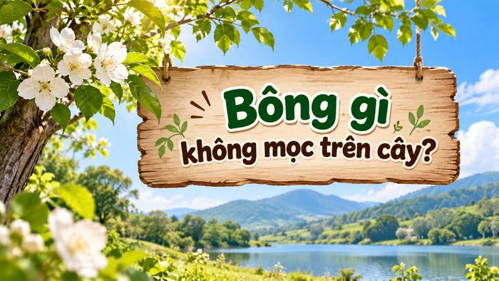 Bạn có biết đáp án chính xác? (Ảnh minh họa)