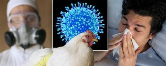 Cúm A là bệnh truyền nhiễm gây nhiễm trùng đường hô hấp cấp tính do virus cúm A gây ra.