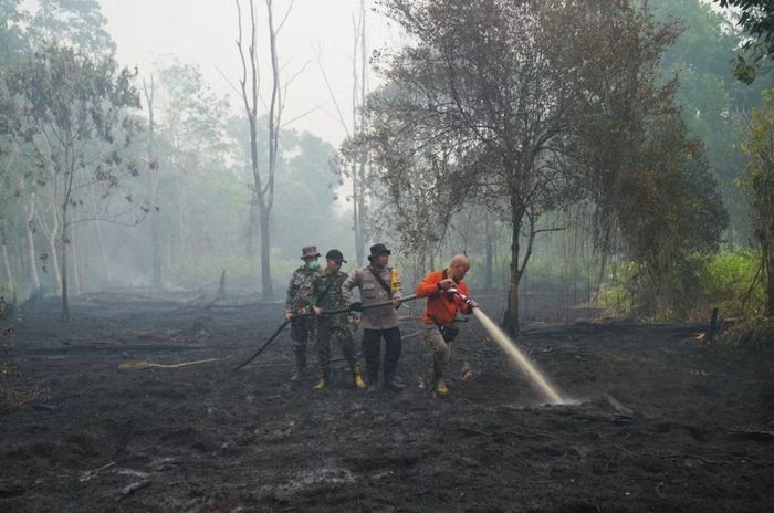 El Nino được cho là một phần nguyên nhân của những đợt cháy rừng lan rộng, kéo dài ở nhiều nơi. Trong ảnh là lực lượng cứu hỏa cố dập cháy rừng ở Indonesia vào ngày 12/9. Ảnh: AP Photo/Tatan Syuflana.