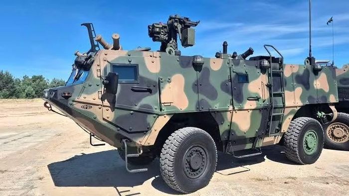 Vũ khí chính của xe trinh sát bọc thép Kleszcz là module Kongsberg Protector, có khả năng mang theo súng máy cỡ lớn hoặc súng phóng lựu tự động.