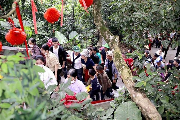 Dòng người nối dài trên các tuyến đường dẫn lên núi Nghĩa Lĩnh trong ngày Giỗ Tổ Hùng Vương năm 2026. Ảnh: Hoàng Hùng-TTXVN