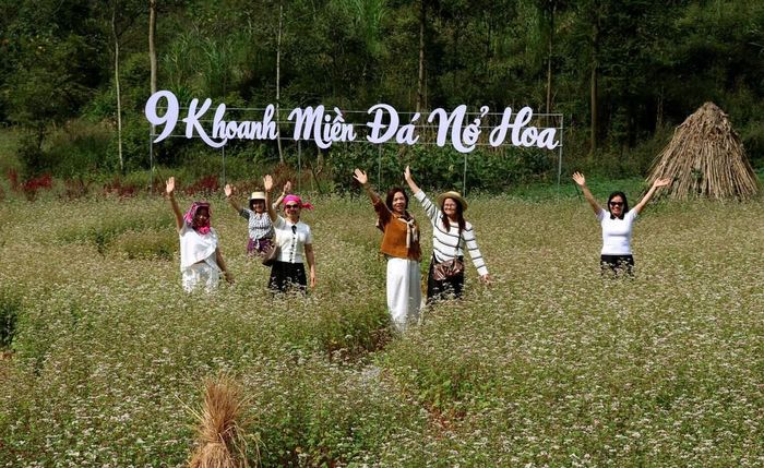 Du khách thả mình giữa thung lũng hoa tam giác mạch thơ mộng, tận hưởng vẻ đẹp bình yên của Cao nguyên đá mùa hoa nở. Ảnh: Đức Thọ - TTXVN