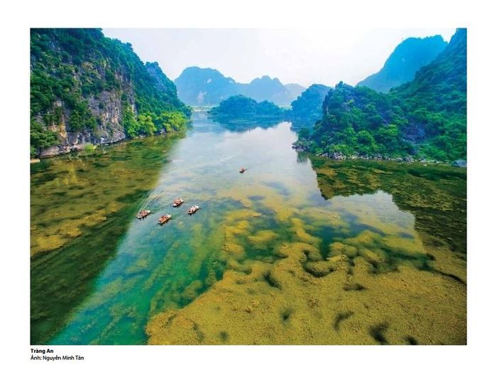 Tác phẩm Tràng Anh của NSNA Nguyễn Minh Tân