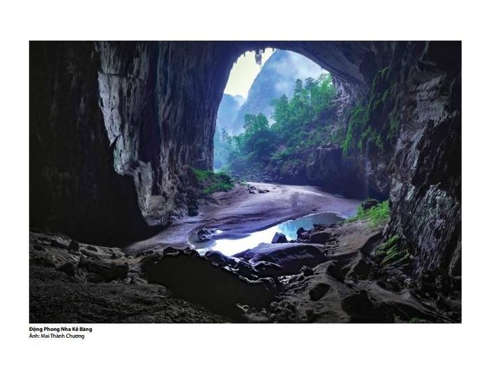 Tác phẩm Động Phong Nha Kẻ Bàng của NSNA Mai Thành Chương