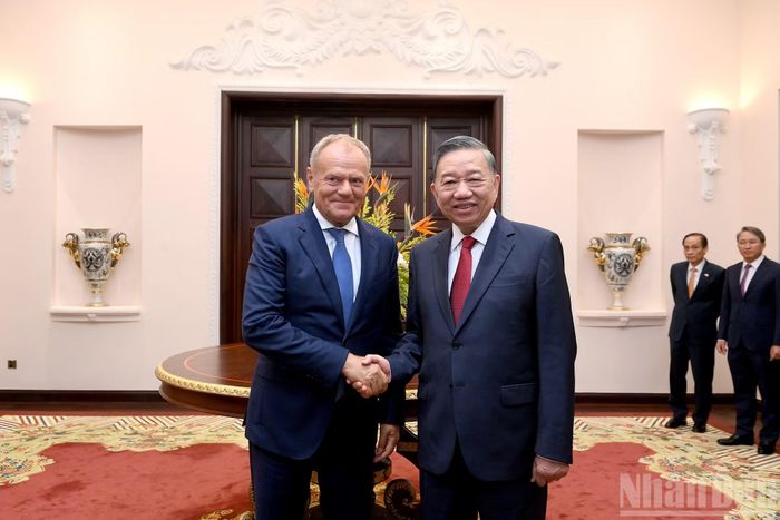 Tổng Bí thư, Chủ tịch nước Tô Lâm và Thủ tướng Cộng hòa Ba Lan Donald Tusk.