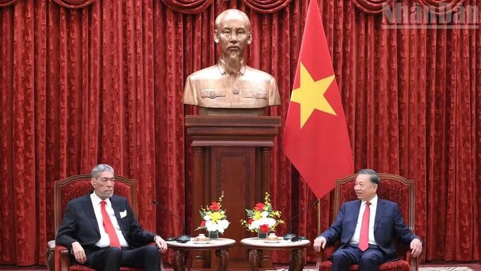 Tổng Bí thư, Chủ tịch nước Tô Lâm tiếp đồng chí Miguel Mejia, Tổng Bí thư Đảng Phong trào Cánh tả Thống nhất (MIU), Cộng hòa Dominica. (Ảnh: ĐĂNG KHOA)