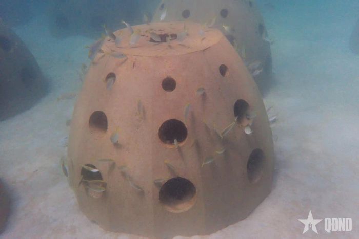 Reef ball - rạn nhân tạo hình quả bóng, đúc bằng bê tông được đặt dưới biển. 