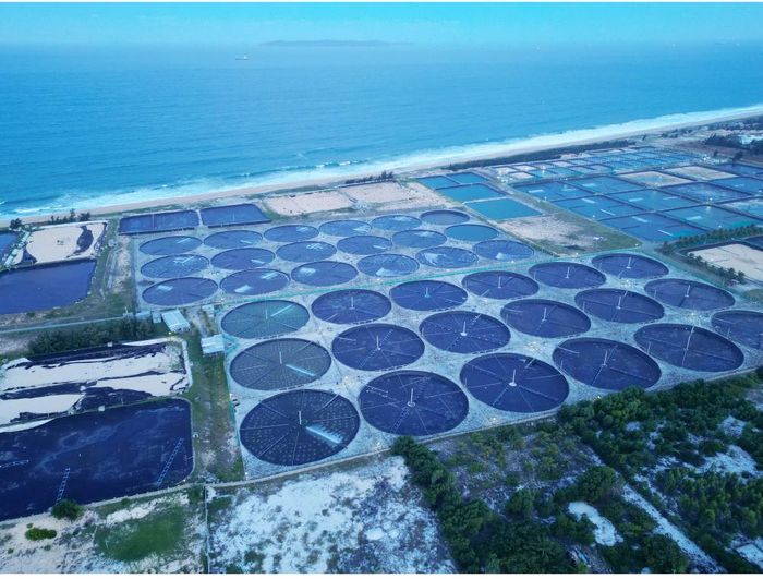  Khu nuôi trồng thủy hải sản khép kín, chuẩn bị giống để vươn khơi nuôi biển bên vịnh Xuân Đài (thuộc xã Xuân Lộc, tỉnh Đắk Lắk). Ảnh: NGỌC OAI 