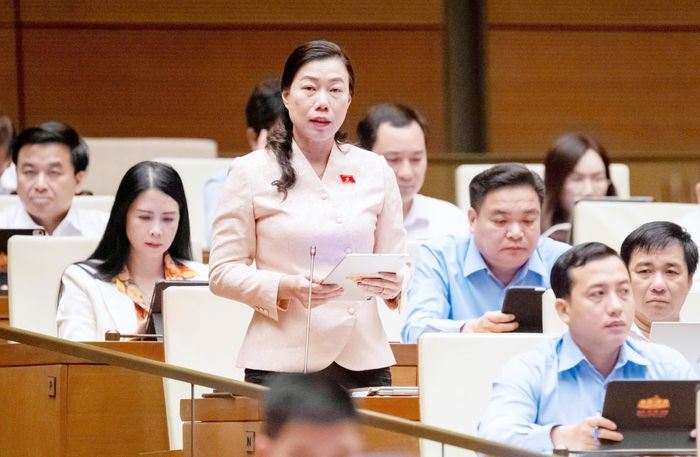  Đại biểu Triệu Lệ Khánh (TPHCM). Ảnh: QUANG PHÚC 