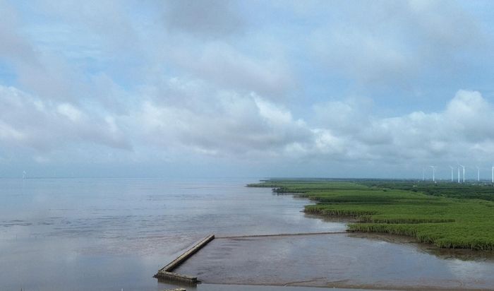 Khu vực bãi bồi ven biển tỉnh Cà Mau sẽ hình thành khu nuôi trồng thủy sản công nghệ cao quy mô tập trung