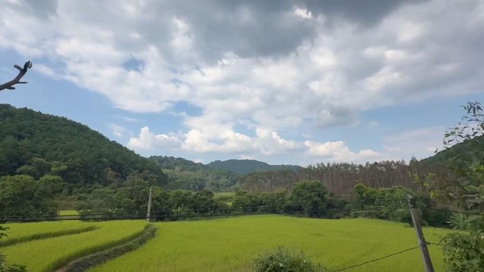 Mỗi tấc đất ở Nà Làng đều in đậm dấu chân tiên phong và ngọn lửa khát vọng của người có uy tín. Ảnh: Văn Trung