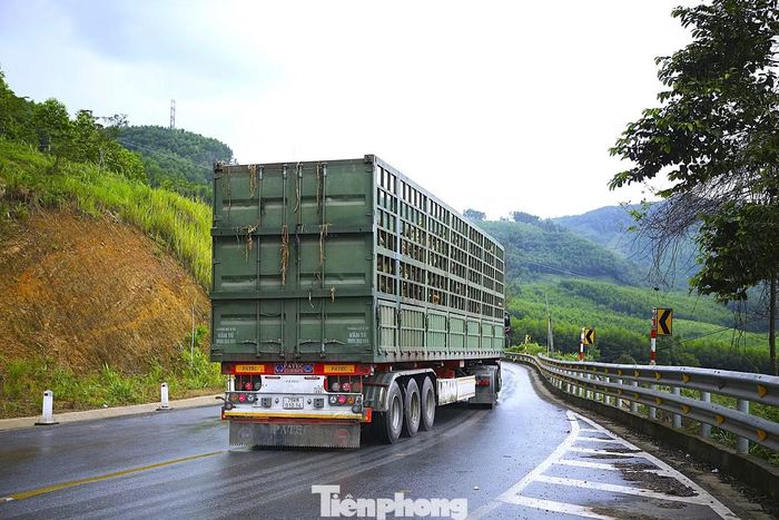 Đối với những đoạn còn lại trong tổng số 71 vị trí, Sở Xây dựng đề xuất triển khai từng bước trong giai đoạn 2028-2030. Nguồn vốn dự kiến được đề xuất từ ngân sách TP. Huế, thuộc khoản chi thường xuyên dành cho các tuyến quốc lộ trên địa bàn. Hiện cơ quan chức năng đã báo cáo, kiến nghị UBND thành phố và Sở Tài chính xem xét bố trí kinh phí theo lộ trình.