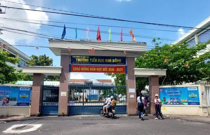 Trường Tiểu học Kim Đồng trên cơ sở sáp nhập Trường Tiểu học Kim Đồng và Trường Tiểu học Nguyễn Văn Cừ.