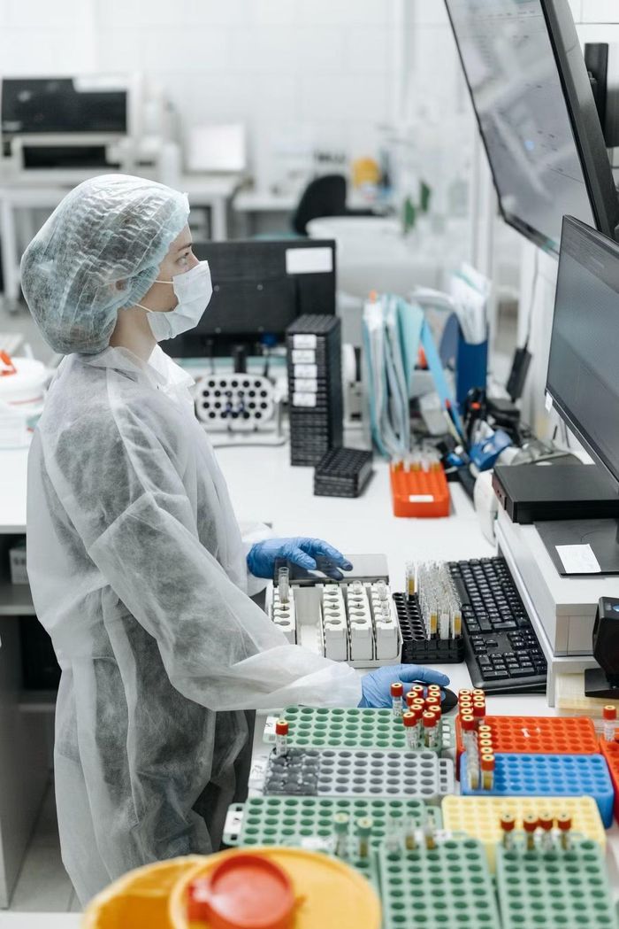 Theo Reuters, Kế hoạch Khải Minh đã được triển khai khá kín đáo và không công khai danh sách người được tuyển. Ảnh: Scholars Bridge