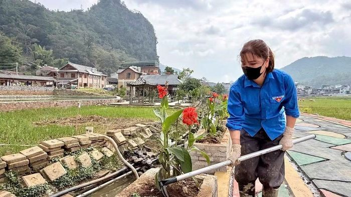  Những hoạt động thiết thực của tuổi trẻ﻿ địa phương góp phần hỗ trợ công tác tổ chức lễ hội, lan tỏa tinh thần tình nguyện và sự hiếu khách của người dân vùng Cao nguyên đá Đồng Văn. 