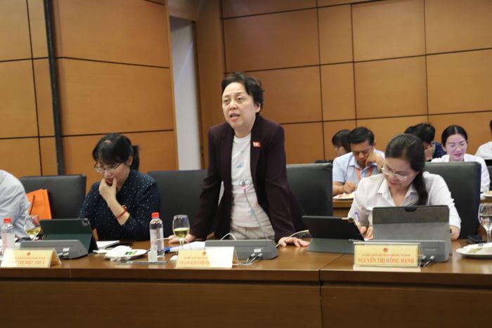 Đại biểu Phạm Khánh Phong Lan.