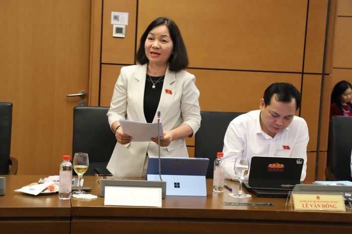 Đại biểu Trương Thị Bích Hạnh (TP HCM).