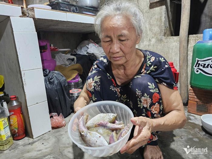 Mớ cá bà Du vừa xin được sẽ là thức ăn cả ngày của hai bà cháu ăn. Ảnh: Hải Sâm