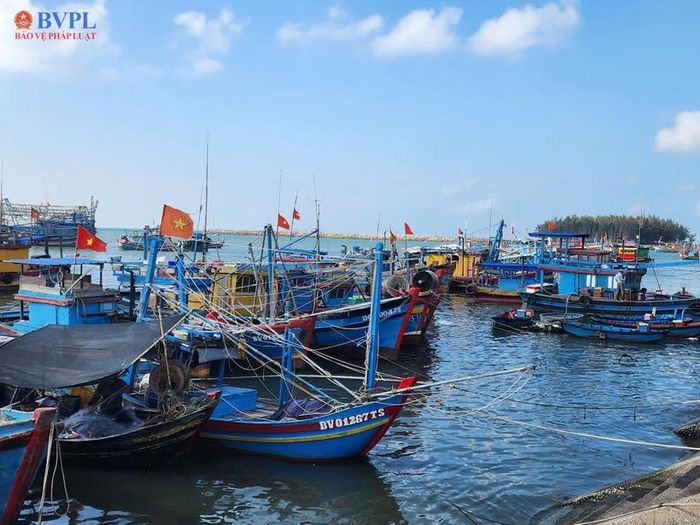TP Hồ Chí Minh dự kiến bố trí 137,5 tỉ đồng từ ngân sách nhà nước để hỗ trợ ngư dân lắp đặt, thay thế thiết bị giám sát hành trình tàu cá.