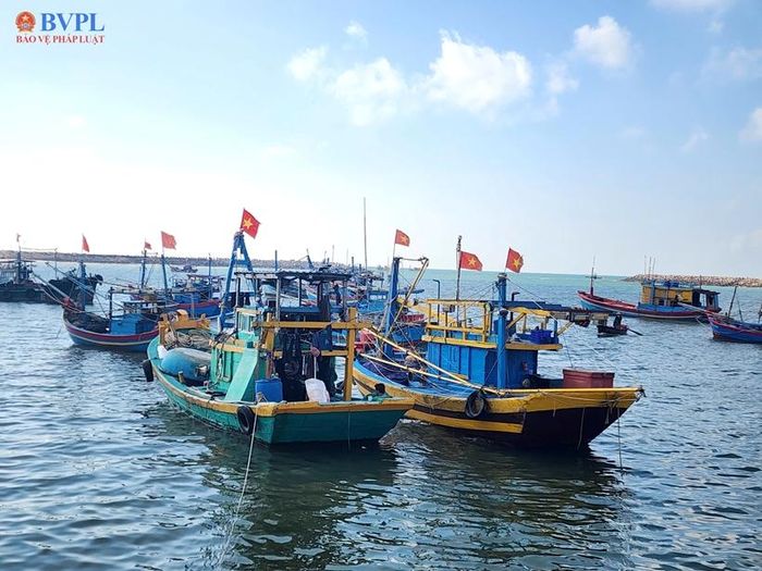 Theo kế hoạch, quý IV/2026 dự kiến bố trí 10,3 tỉ đồng; năm 2027 là 40,8 tỉ đồng; năm 2028 là 31,2 tỉ đồng; năm 2029 là 31,2 tỉ đồng và năm 2030 là 24 tỉ đồng.