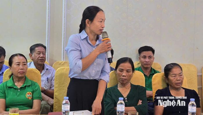 Đại biểu tham luận tại hội thảo. Ảnh: Bùi Thọ