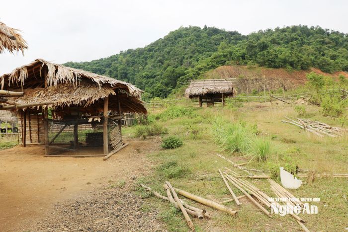 Hơn 30 hộ dân xã Châu Khê có nhu cầu bố trí chỗ ở tại khu tái định cư. Ảnh: Nguyễn Nam