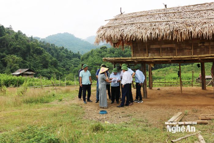 Đồng chí Nguyễn Văn Đệ - Ủy viên Ban Thường vụ Tỉnh ủy, Phó Chủ tịch UBND tỉnh, kiểm tra tình hình thực hiện dự án sắp xếp dân cư vùng thiên tai sạt lở và vùng đặc biệt khó khăn tại xã Châu Khê. Ảnh: Nguyễn Nam