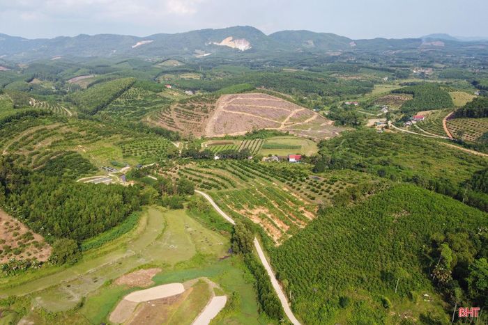 Toàn xã Kim Hoa hiện có hơn 1.400 ha cam chanh, cam bù các loại, với khoảng 900 hộ tham gia sản xuất. Sản lượng cam ước đạt hơn 24.000 tấn mỗi năm, trong đó cam chanh chiếm khoảng 6.000 tấn. Cam chanh được trồng tập trung chủ yếu tại các thôn Thanh Mai, Sơn Mai.