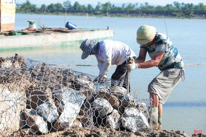 Từng rọ sắt chứa đầy đá hộc được công nhân giằng néo cẩn thận, sau đó dùng máy cẩu, máy múc hỗ trợ đưa xuống lòng sông Rào Cái.