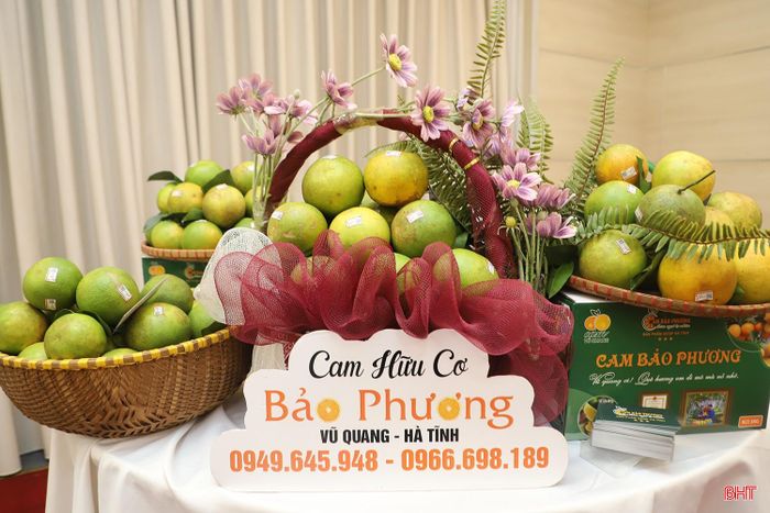 Hà Tĩnh tăng cường kết nối tiêu thụ sản phẩm địa phương.