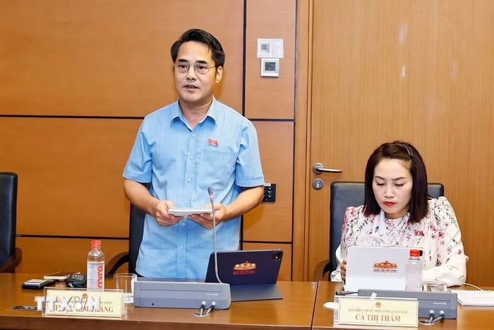 Đại biểu Quốc hội tỉnh Lai Châu Triệu Kim Thắng phát biểu. (Ảnh: Doãn Tấn/TTXVN)