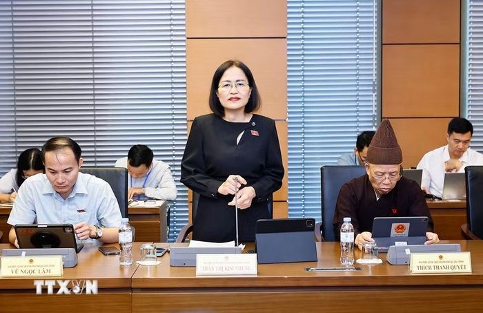 Đại biểu Quốc hội thành phố Quảng Ninh Trần Thị Kim Nhung phát biểu. (Ảnh: Doãn Tấn/TTXVN)