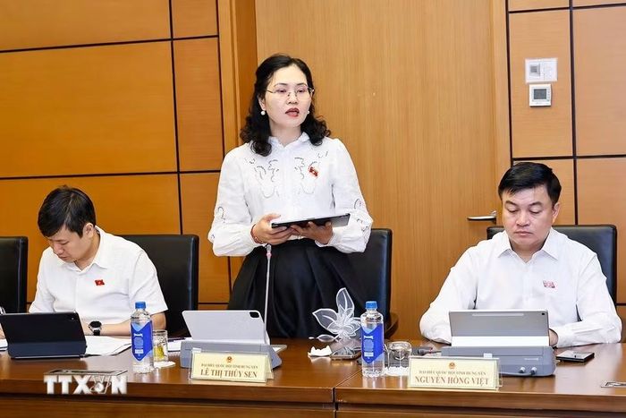Đại biểu Quốc hội tỉnh Hưng Yên Lê Thị Thúy Sen phát biểu. (Ảnh: Doãn Tấn/TTXVN)
