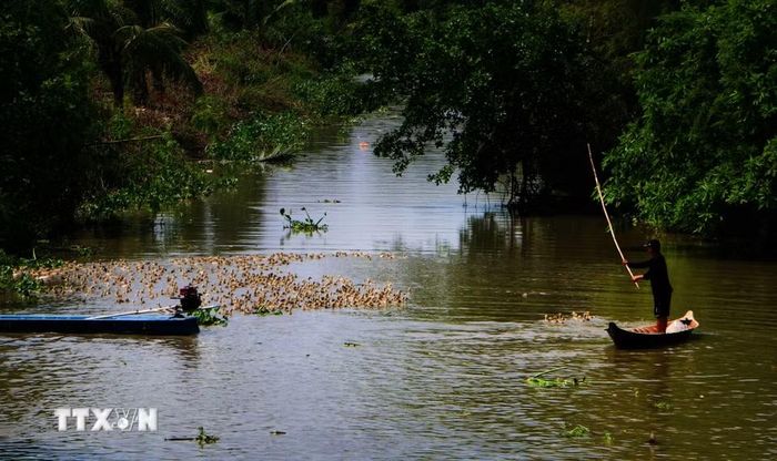 Việc bảo vệ hành lang sông, kênh rạch, hạn chế ô nhiễm nguồn nước và bảo tồn những không gian có khả năng trữ nước tự nhiên cũng cần được quan tâm. (Ảnh: Duy Khương/TTXVN)