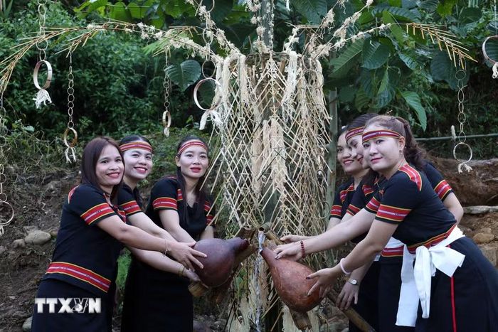 Những thiếu nữ đồng bào M’Nông hứng dòng nước thiêng trong Lễ cúng máng nước tại khu dân cư Bằng La, thôn Tak Xoai, xã Trà Leng năm 2026. (Ảnh: Đỗ Trưởng/TTXVN)