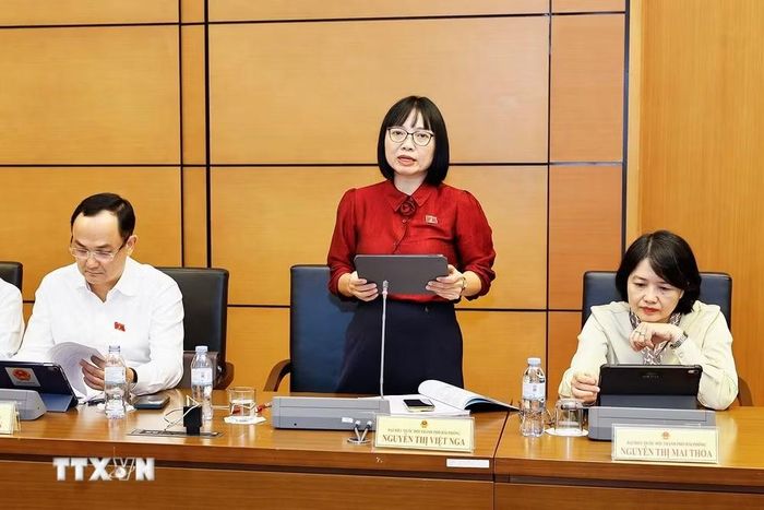 Đại biểu Nguyễn Thị Việt Nga, Phó Trưởng Đoàn ĐBQH thành phố Hải Phòng. (Ảnh: TTXVN)