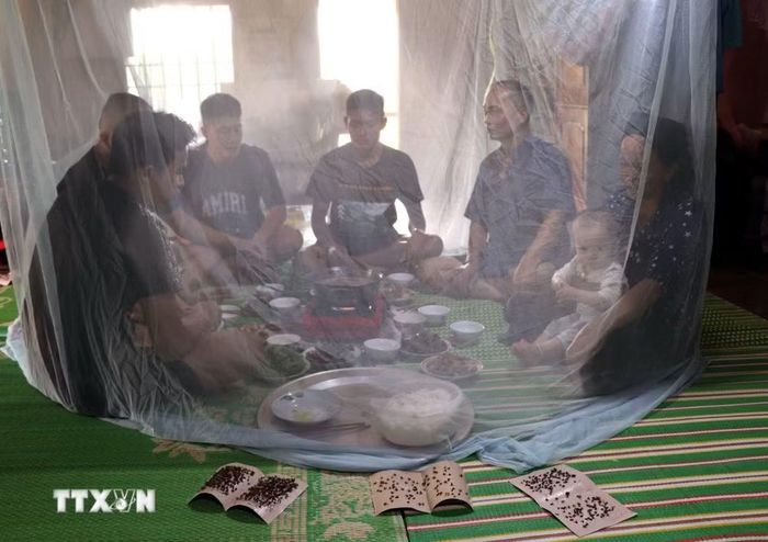 Người dân thôn Cốc Pảng, xã Du Già, phải mắc màn khi ăn cơm để hạn chế ruồi nhặng do ô nhiễm từ bãi rác. (Ảnh: Đức Thọ/TTXVN)
