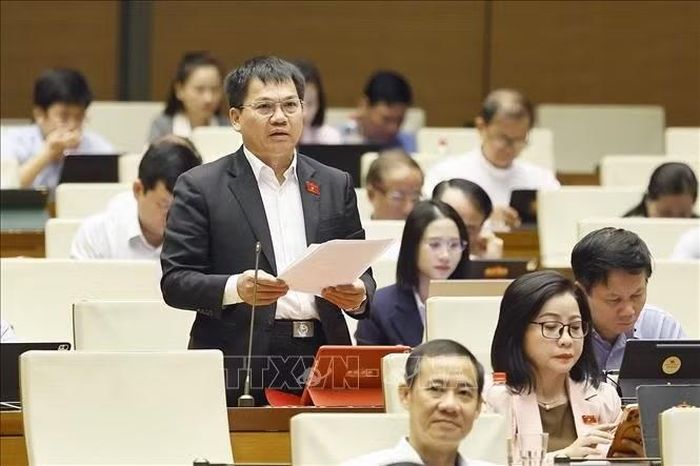 Đại biểu Quốc hội tỉnh Lâm Đồng Dương Khắc Mai phát biểu. Ảnh: Doãn Tấn/TTXVN