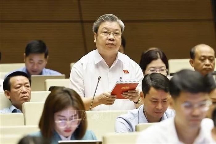 Đại biểu Quốc hội tỉnh Thanh Hoá Bùi Văn Dũng phát biểu. Ảnh: Doãn Tấn/TTXVN