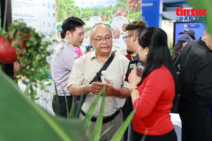 Các đơn vị giới thiệu giải pháp tiết kiệm năng lượng, bảo vệ môi trường và phát triển đô thị xanh.