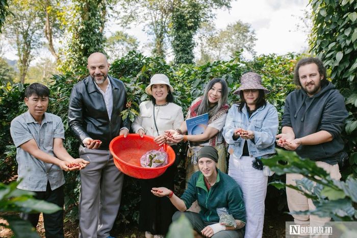 Cà phê Khe Sanh và hành trình xuất ngoại (Ảnh: HTX nông sản Khe Sanh)